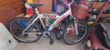 Bicicleta do início do séc. XXI