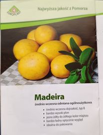 Sadzeniaki z wymiany 75kg, Odmiana: Madeira