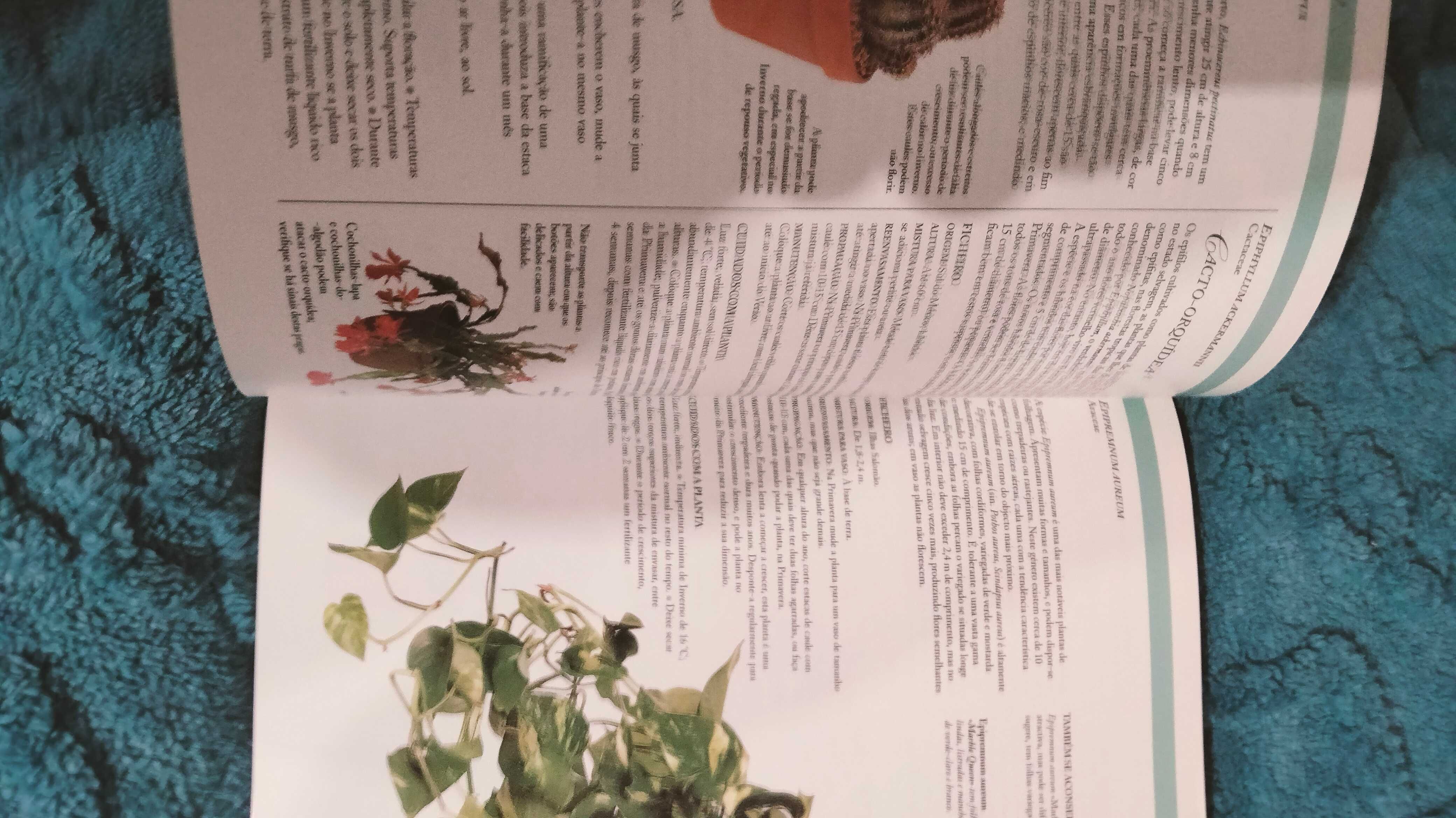 Grande livro guia das plantas