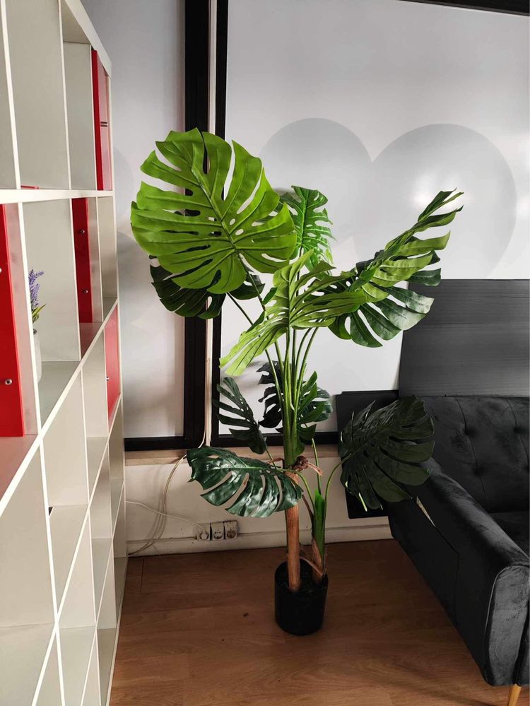 Costela de adao artificiais lindissimas para decoracoes com entrega