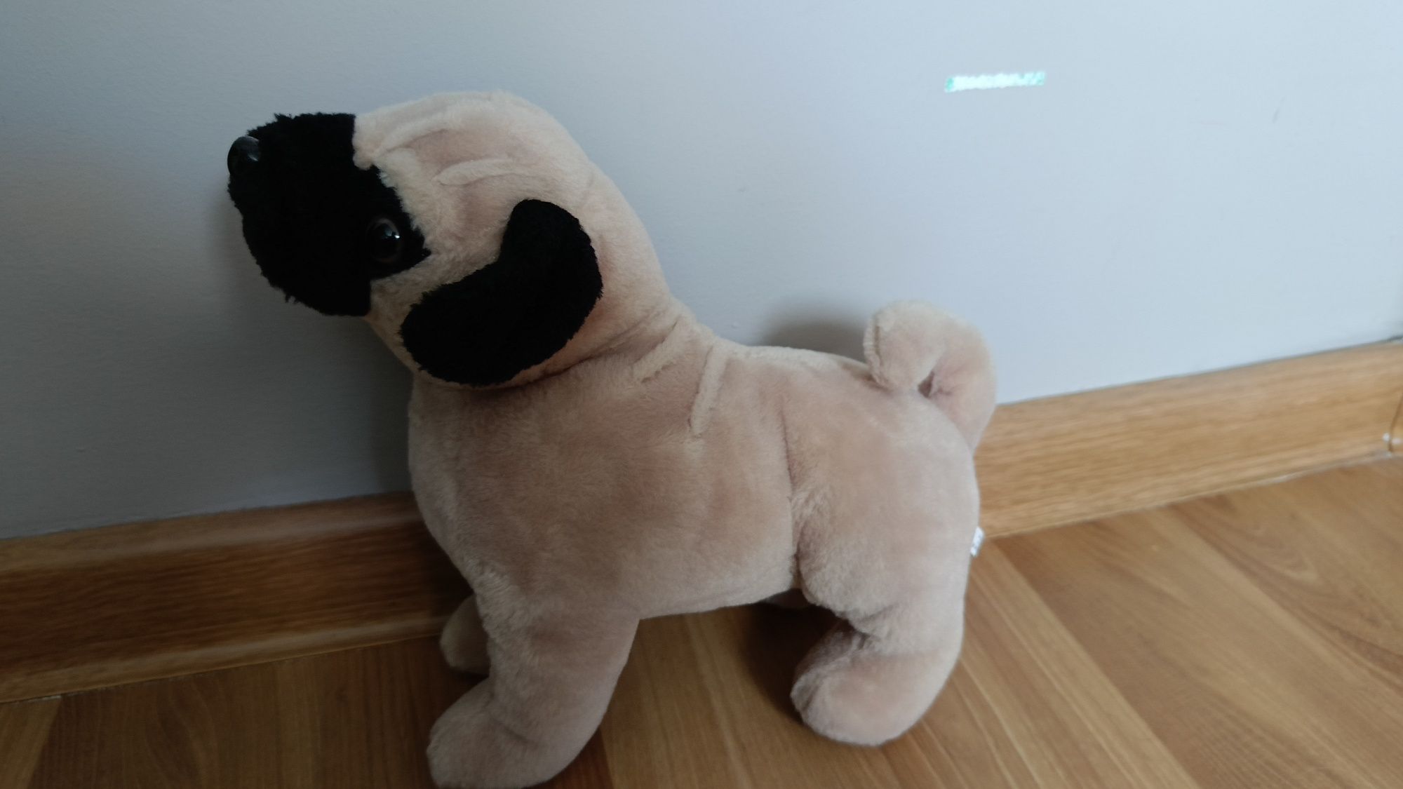Piesek pluszowy maskotka mops