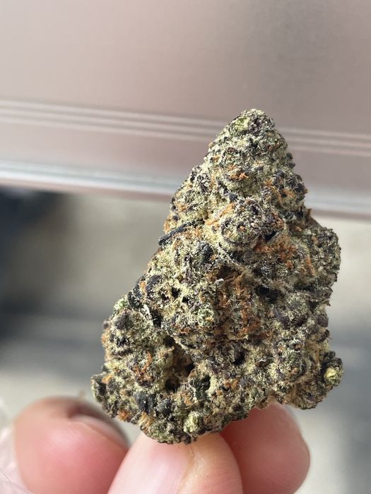 Susz Indoor CBD,cbg,thc