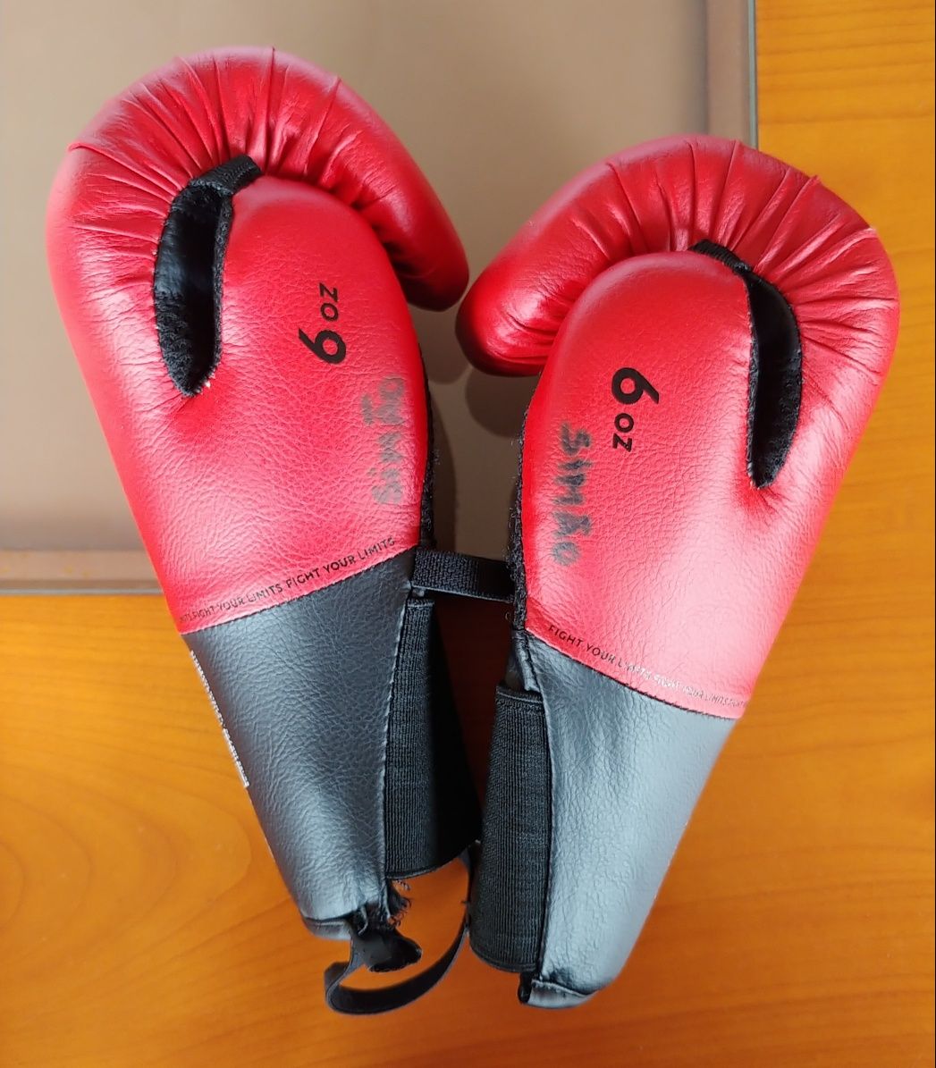 Saco de boxe + luvas
