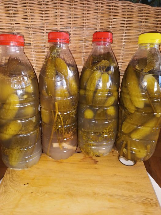 Ogórki kiszone 1 litr