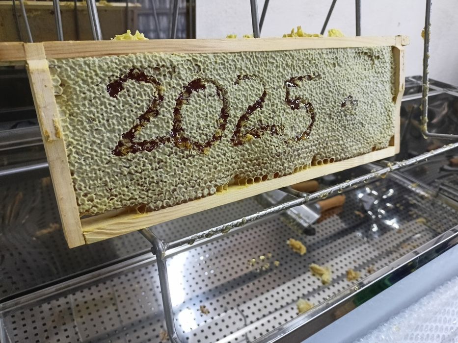 Sprzedam miód od szczęśliwych pszczółek