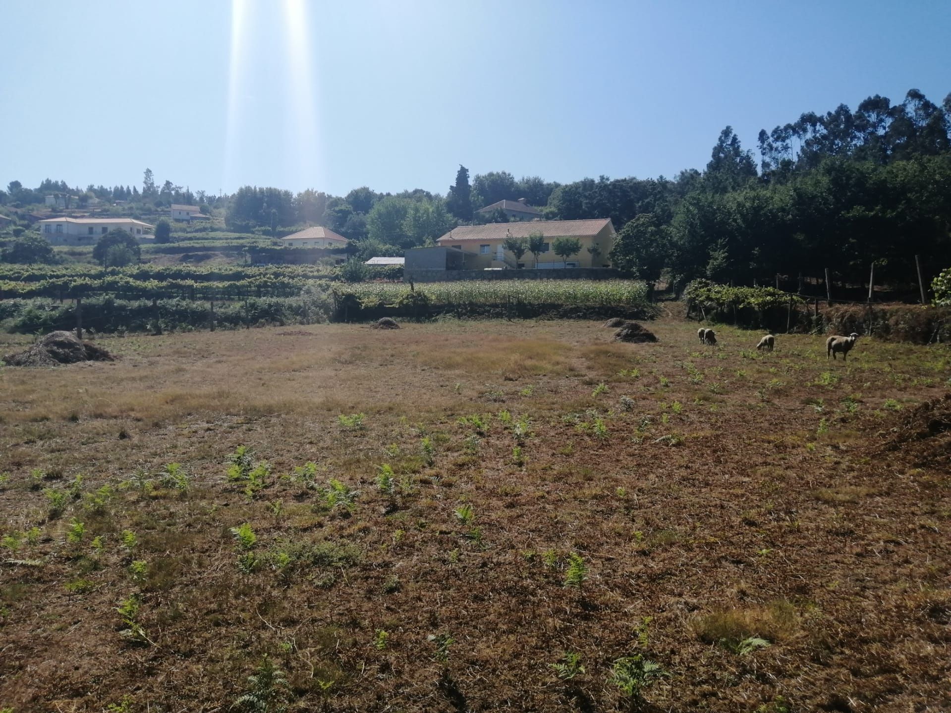 Terreno para construção
