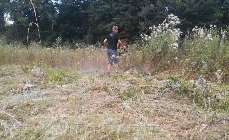 Покосим траву. Скос травы. Покос травы. Уборка участка. Спил деревьев.