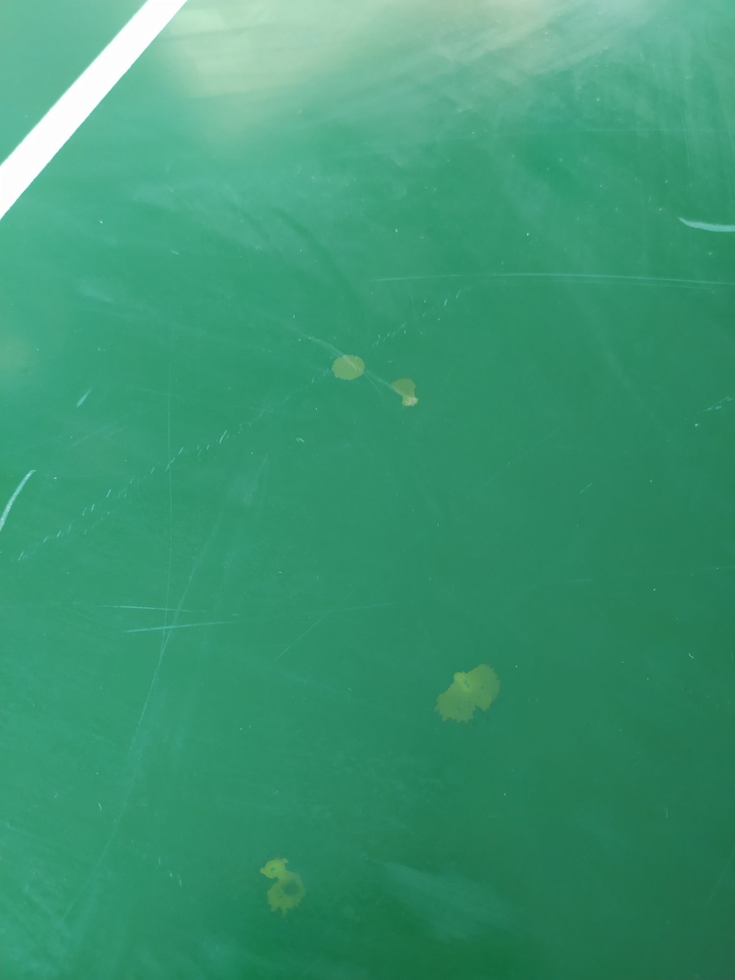 mini stół do ping ponga
