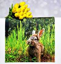 Home&You nowy świąteczny bieżnik Grasshare zajączek królik Wielkanoc