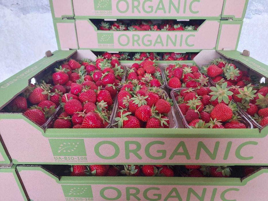 Продам свіжу органічну полуницю