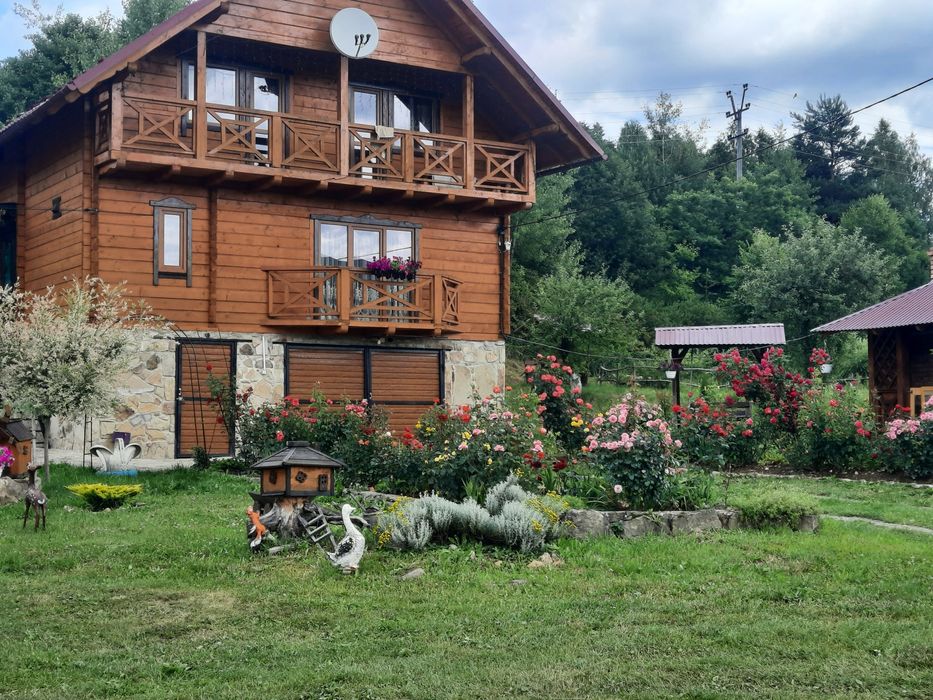 Затишний відпочинок  у Карпатах