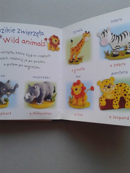 Książka Słowniczek polsko-angielski dla dzieci