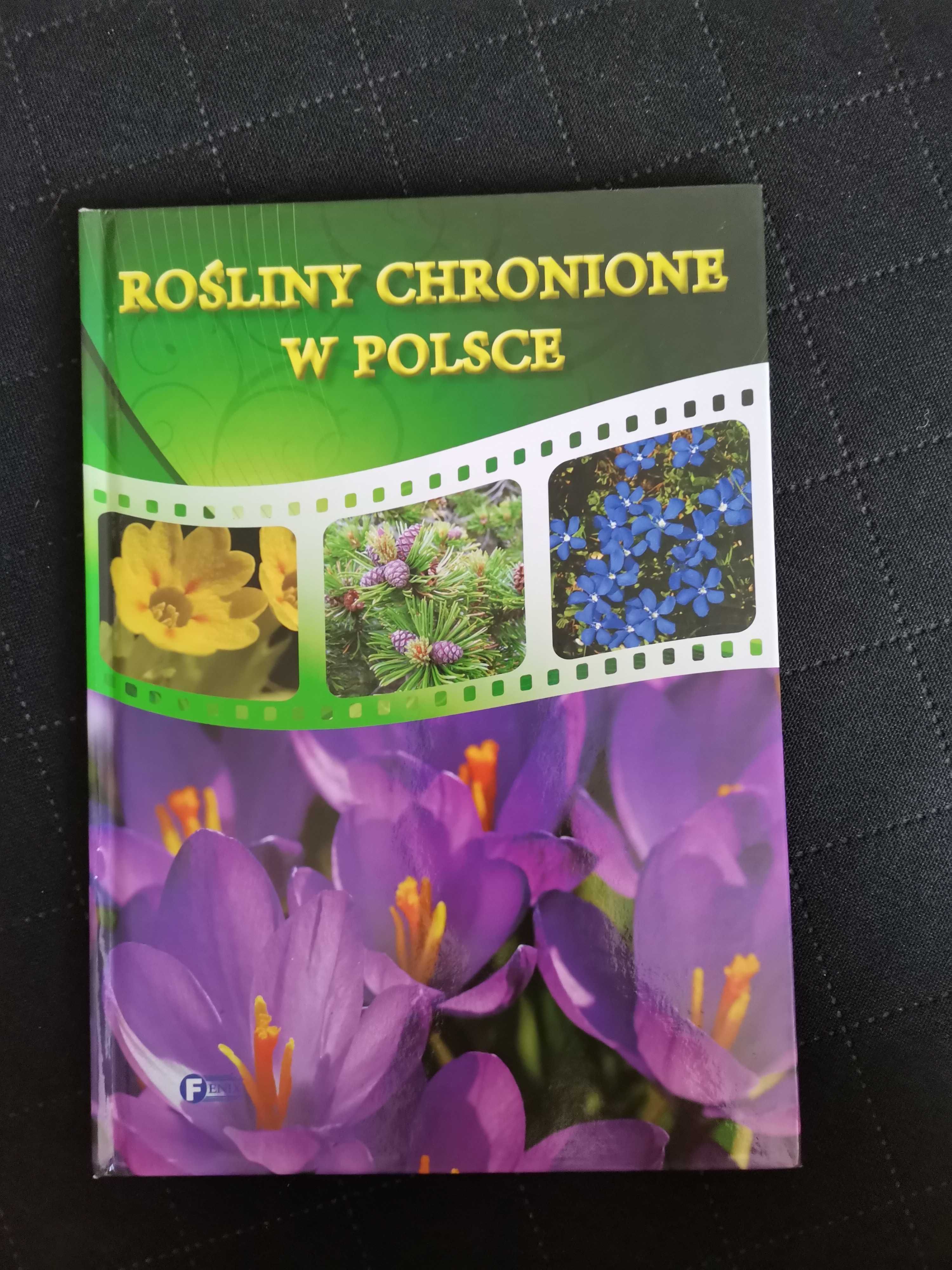 Książka Rośliny chronione w Polsce