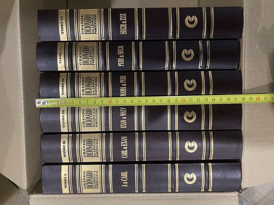 Dicionario portugues 6 volumes