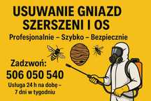 Usuwanie Gniazd Szerszeni i Os .Profesjonalnie i Bezpiecznie – 24h/7
