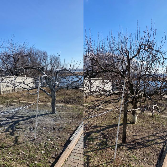 САДОВНИК-Уборка сада,стрижка, оформление клумб,лечение туй