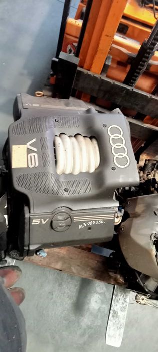 Motor VW V5 e Motor Audi V6
