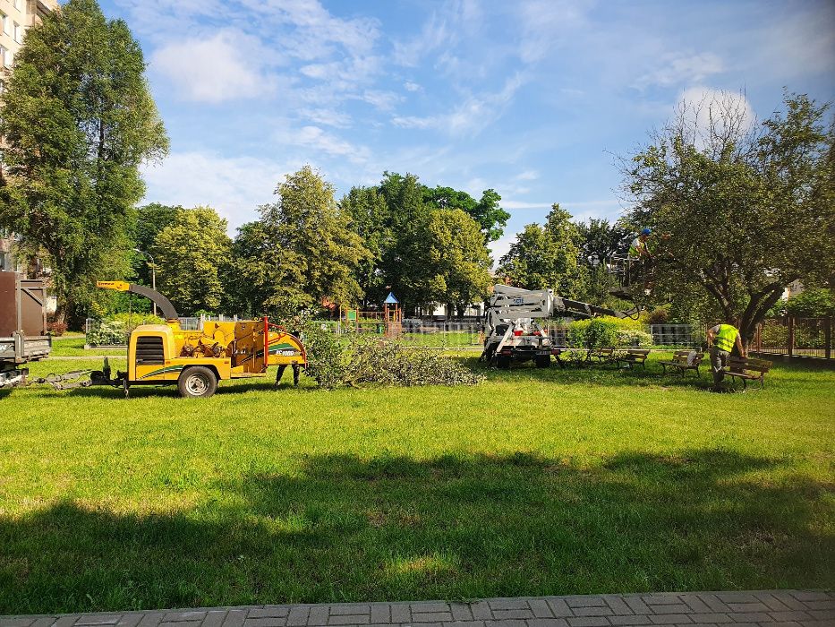 Wycinanie drzew, frezowanie pni, podnośnik koszowy, czyszczenie działe