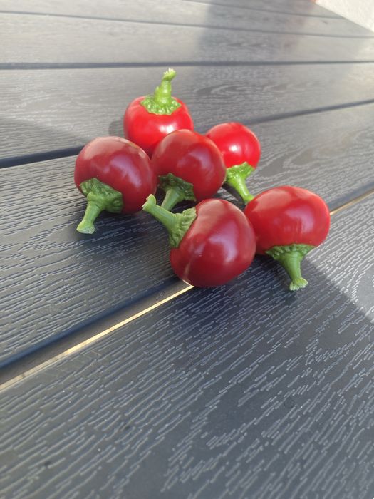 Papryka jalapeno mix 2kg + 0.5kg czeresniowej