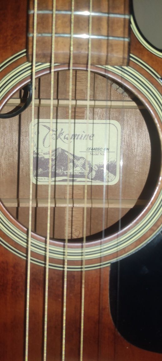 Guitarra Takamine e Amplificador Roland