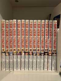 Manga Neon Genesis Evangelion tomy 1-14