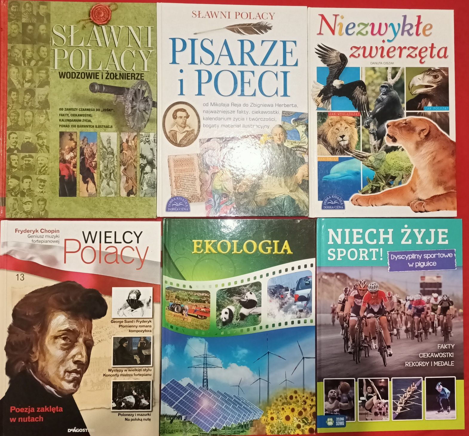 6 książek duży format A 4 Sławni Polacy Pisarze  Sport Ekologia Chopin