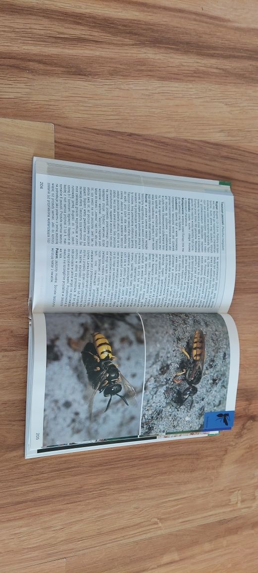 Księga zagadek pytania i odpowiedzi