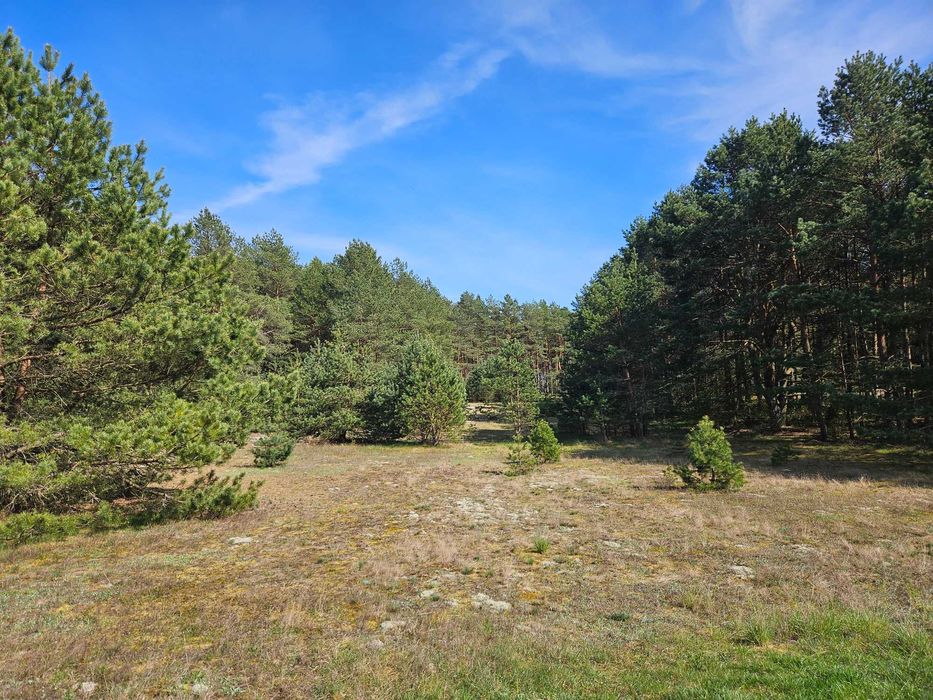 Przepiękne miejsce nad Jeziorem Karsińskim, Swornegacie