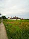 Продам ділянку в мальовничому селі Богушівка, Луцький р-н. Власник!