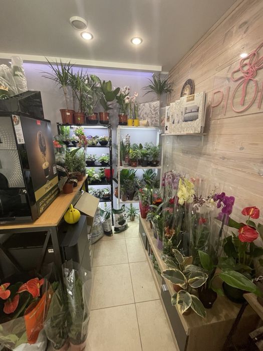 Приміщення , салон коаси, барбершоп, магазин,офіс,клініка, стоматологі