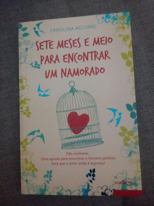 Livro de Carolina Aguirre - Sete meses e meio para encontrar um namora