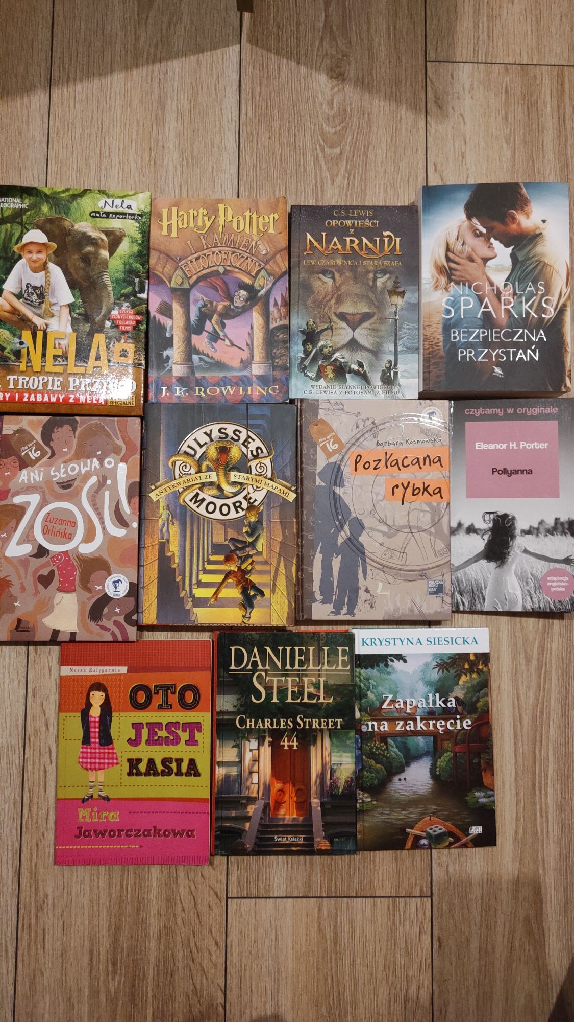 Bezpieczna przystań Nicholas Sparks książka