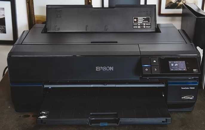 Epson sc-P800 stan BDB, ogłoszenie grzecznościowe