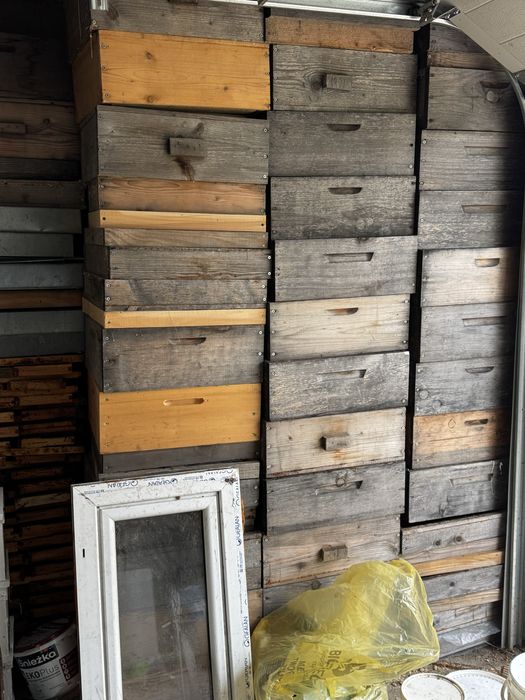 Pasieka 80 rodzin, dzialajaca strona www, fb, tik-tok