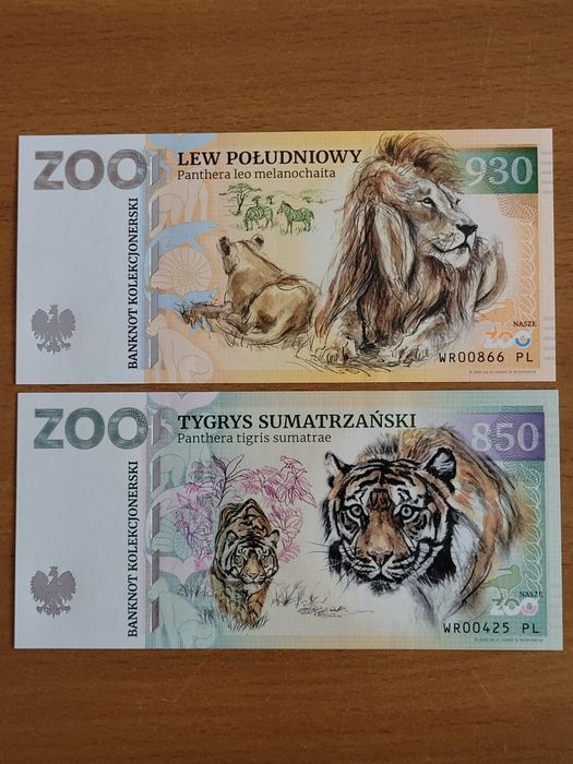 Banknoty kolekcjonerskie ZOOLAR Zoo Wrocław, nowość 2025r, bon Gabris