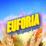Pszenica ozima EUFORIA C1 - materiał siewny 2025  - DOSTAWA GRATIS