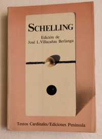 Schelling Antologia