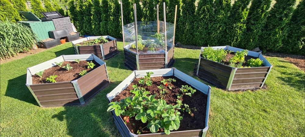 Rabata podniesiona metalowa warzywna