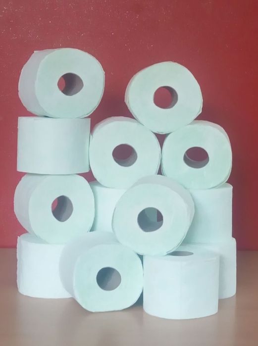 Papier toaletowy 144 rolki/3x48 sztuk 2 Gatunek (celuloza)