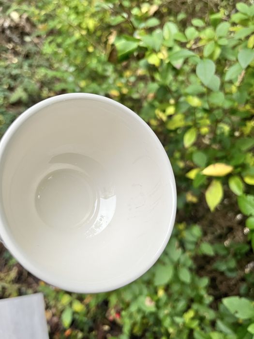 Порцелянові чашки Hartley Greens made in England