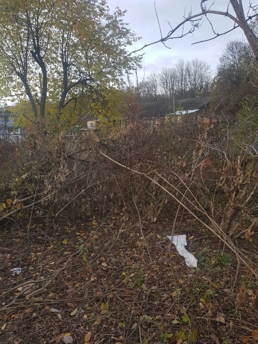 Продам гілля з дерев  на переробку .,паливну щіпу .