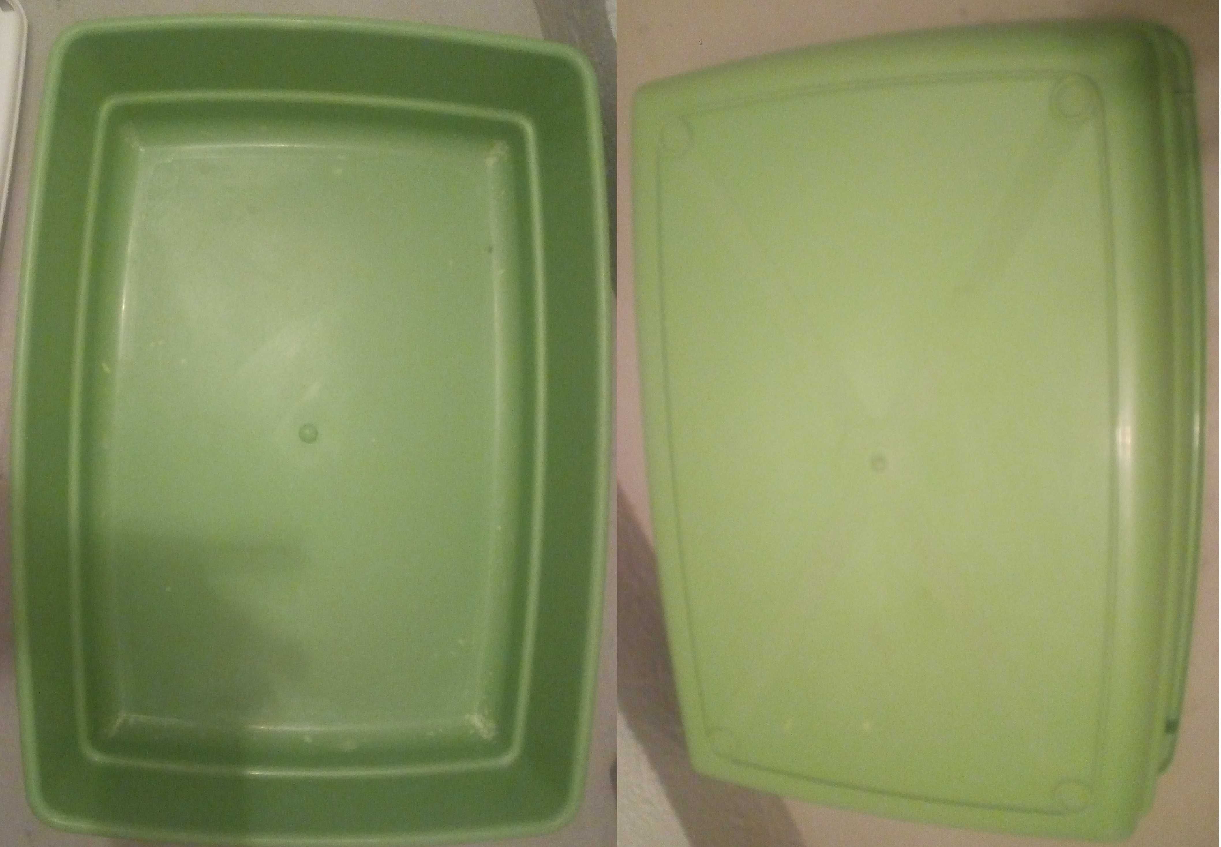 WC / Caixa de areia para gato, fechada, sem portinhola, verde e branca