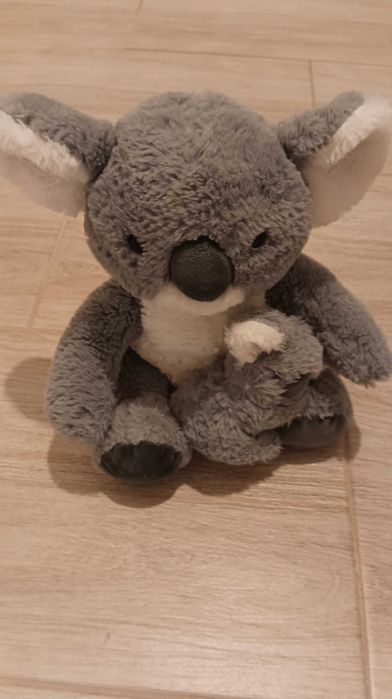 Maskotka miś koala