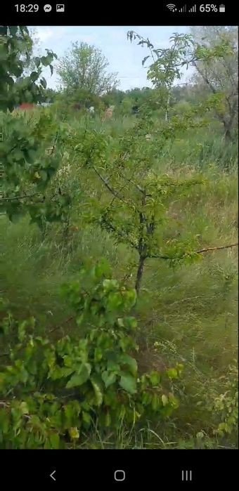 Участок в Кировском