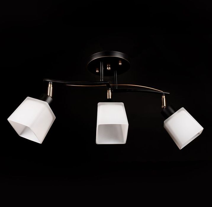 Люстра стельова з плафонами