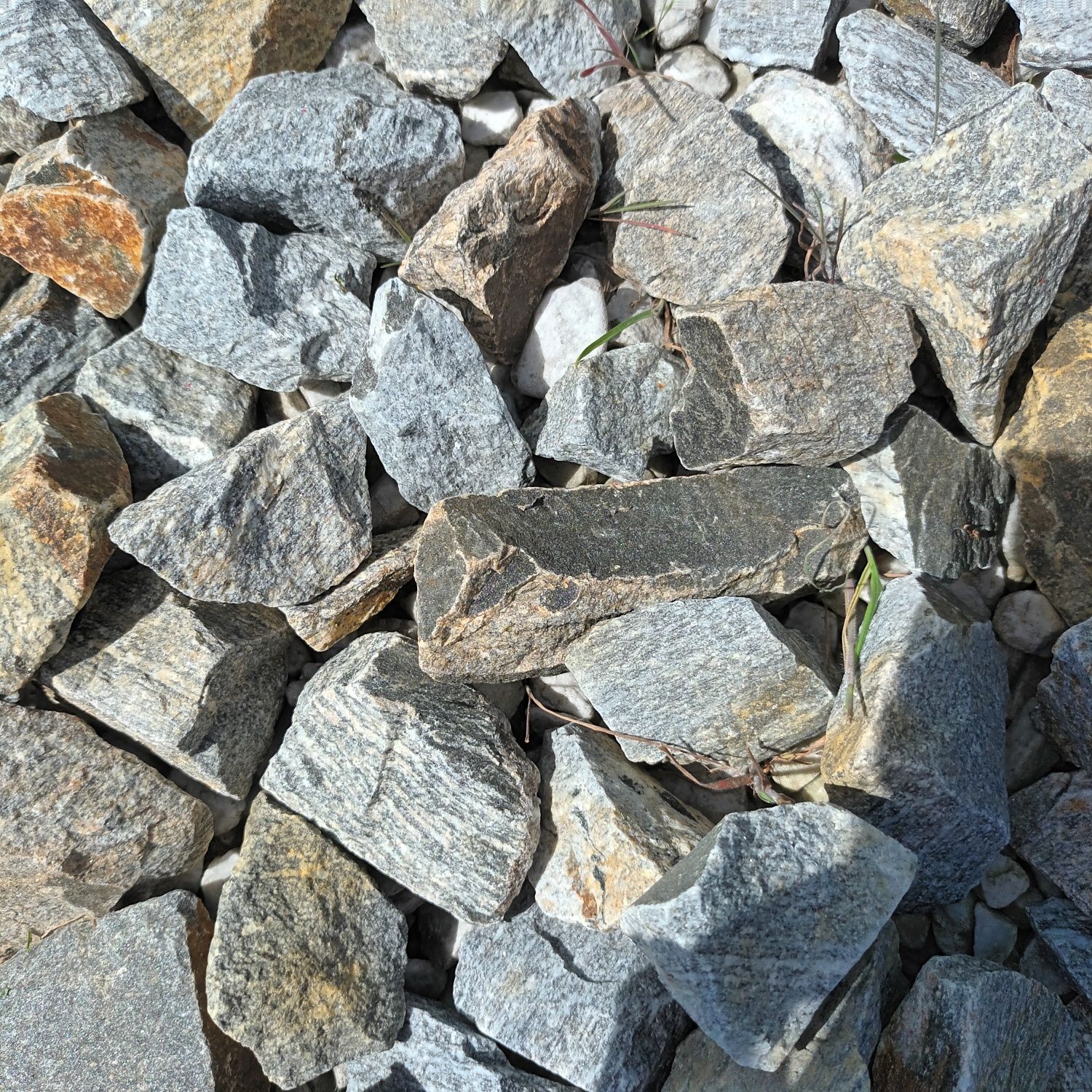 Kamień gnejs szary kamień do ogrodu