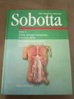 Atlas anatomii Sobotta tom 2