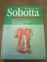 Atlas anatomii Sobotta tom 2