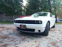Dodge Challenger wynajem auta do ślubu lub na inne okoliczności.
