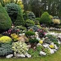 Usługi ogrodnicze, zakładanie,  pielęgnacja ogrodów, terenów zieleni.